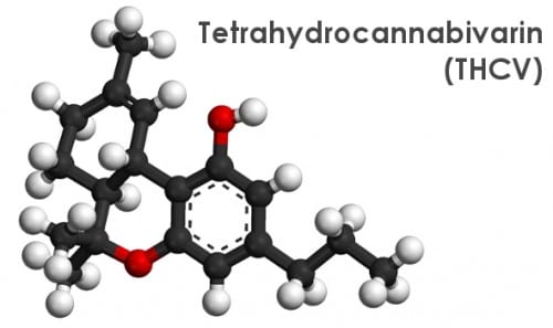 המבנה המולקולרי של הקנבינואיד טטרה-הידרו-קנאביווארין (THCV)
